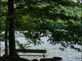 sous l'arbre, pr�s de l'eau (53253 octets)