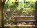Jardin botanique de Montr�al (53275 octets)
