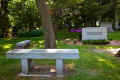 montreal_cimetiere_mont_royal2012 _1.jpg (310663 octets)