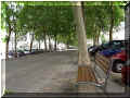 Tours, boulevard B�ranger (89364 octets)